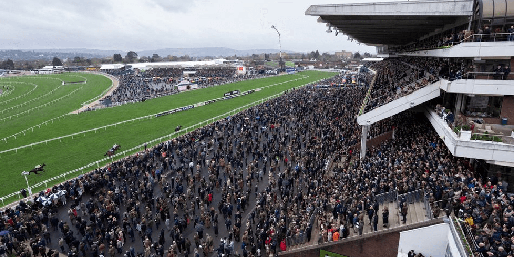 Cheltenham Festival: Did the bettors outsmart the operators?